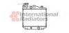 VAN WEZEL 11002005 Radiator, engine cooling